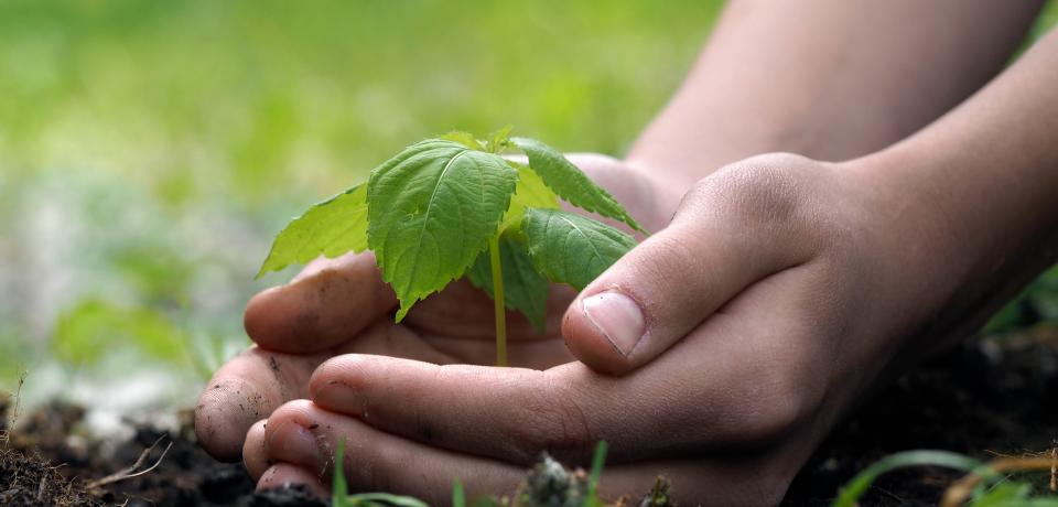 Environmental protection