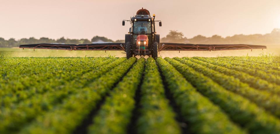Fertilizers